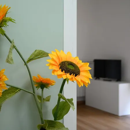 Apartman Da Eleonora - Centro Di Róma